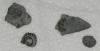 Fossiles du Qubec Neuville